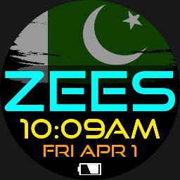 ZEES Pakistani Flag 2