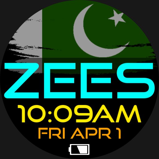 ZEES Pakistani Flag 2