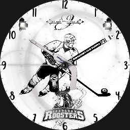 Iserlohn Roosters Spiel Eishockey 