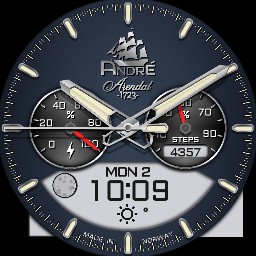 HummingBird Andre 180126