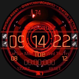 2025Division Agent New Rogue NO Skull Copy