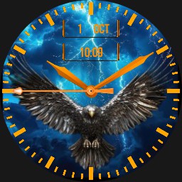 Wild Eagle watch