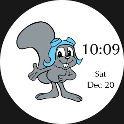 Rocky the flying squirrel