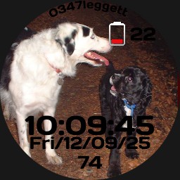 Pipsi & Max