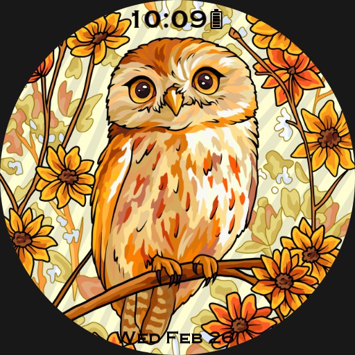 Owl