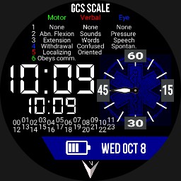 EMS Digital with GCS - blue