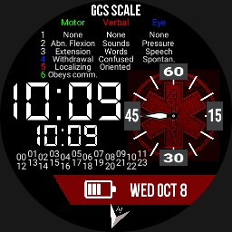 EMS Digital with GCS - red