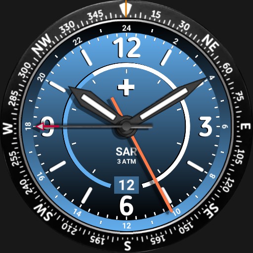 Brute SAR Search and Rescue Compass Field Watch Lume Colours