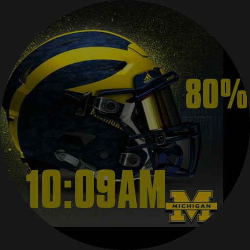 Michigan Wolverines 