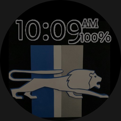 Detroit Lions