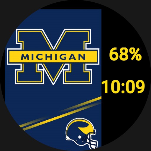 Michigan Wolverines