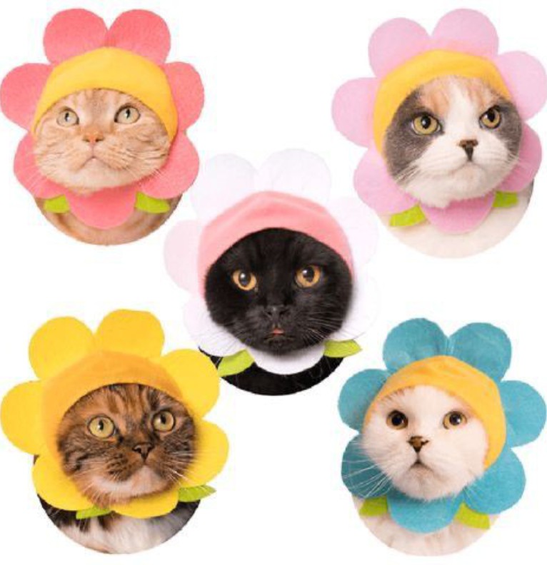 Cutee