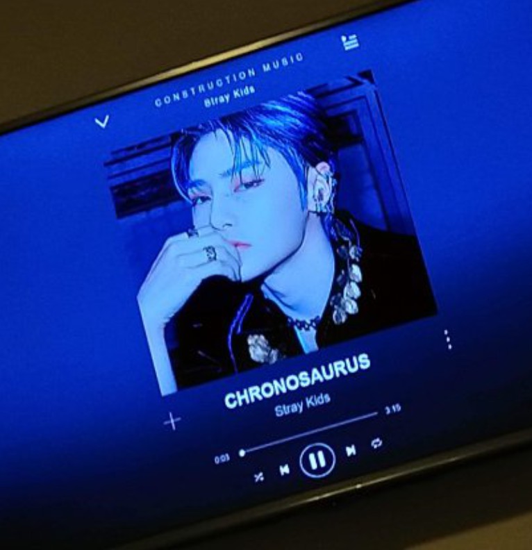 Chronosaurus - Stray Kids
