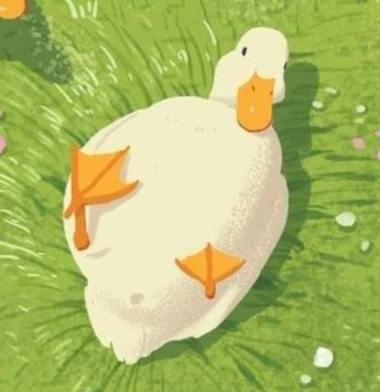duck