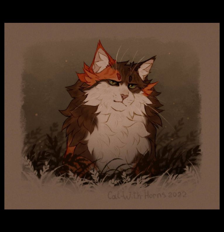 Warriors cats 