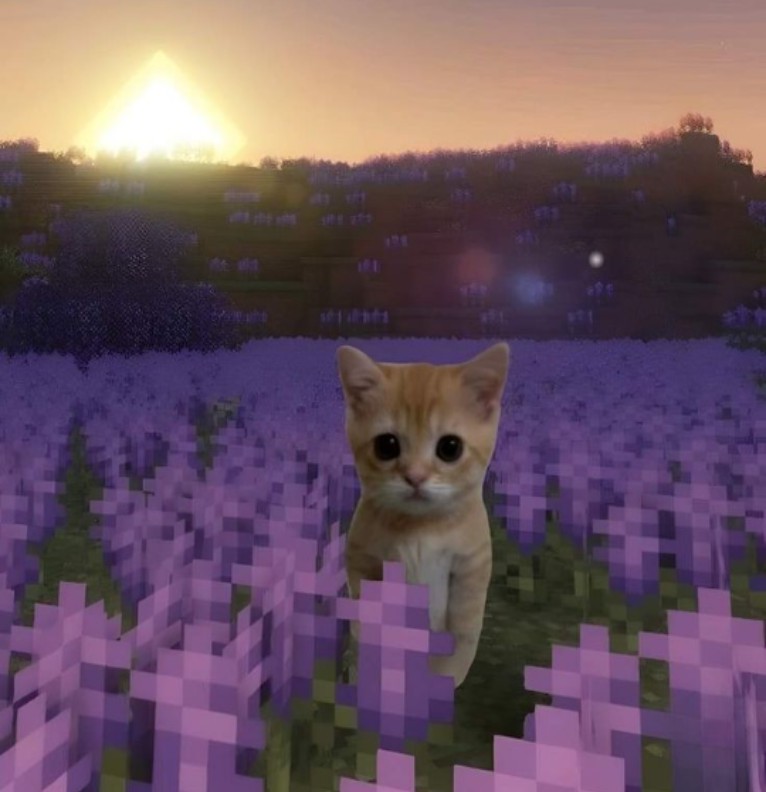 minecraft gato