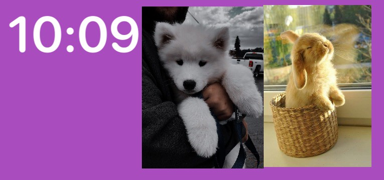 Cute Animals Widget