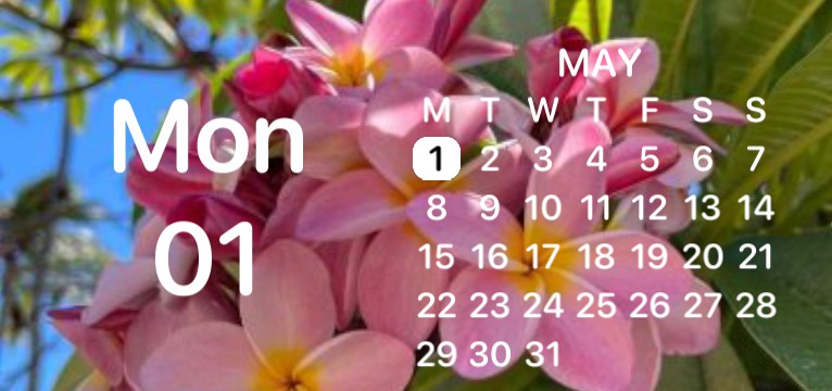 summer flower calendar widget