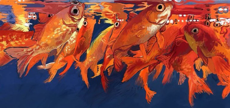 Goldfish
