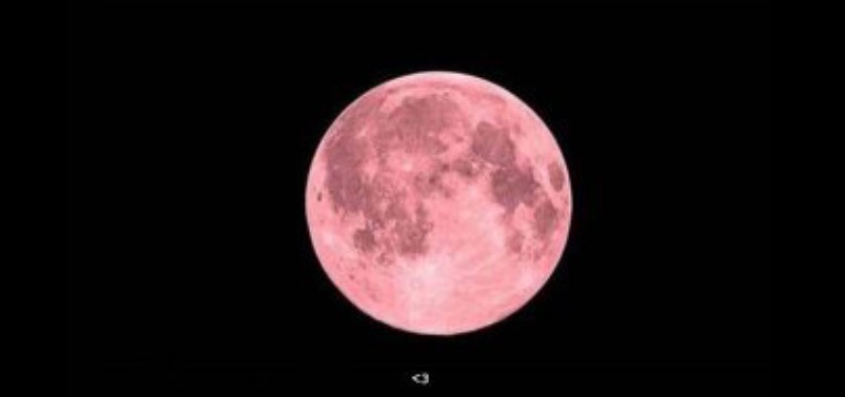 pink moon