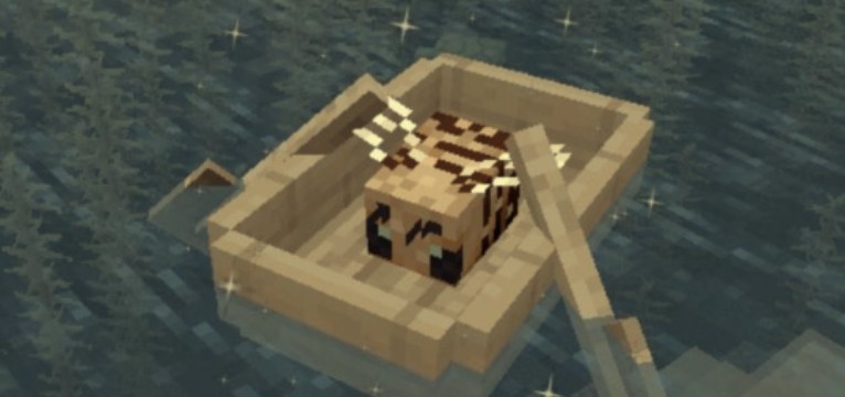 minecraft bee