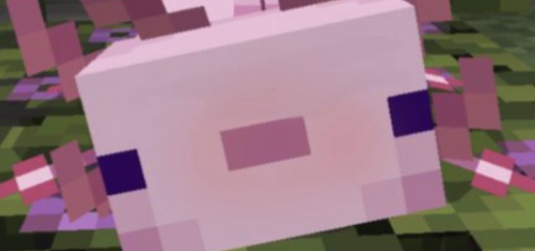 minecraft axolotl