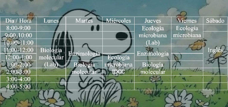 Classes snoopy