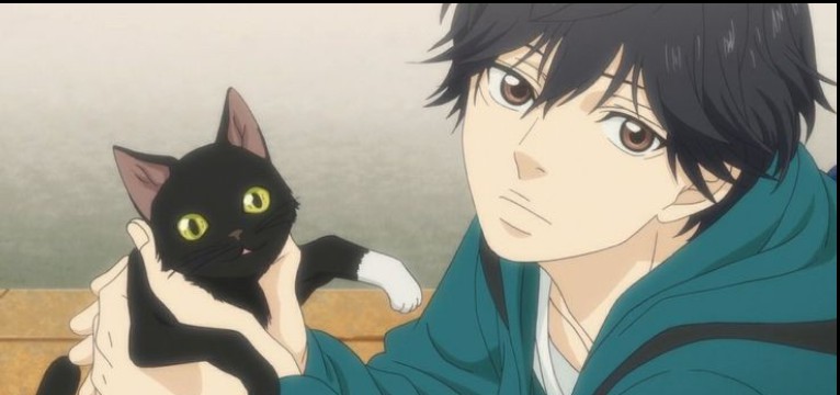 KOU MABUCHI 