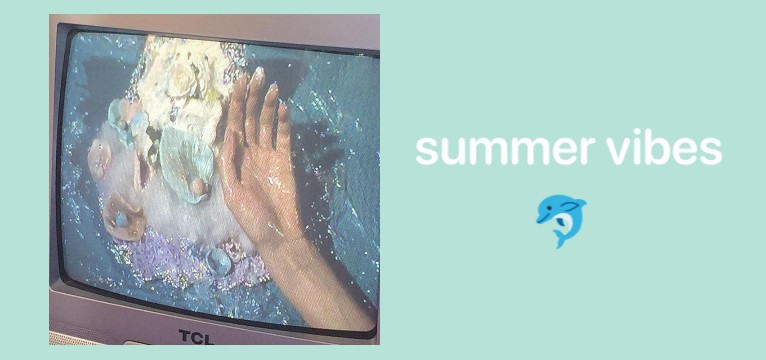 Summer dolphin aesthetic 