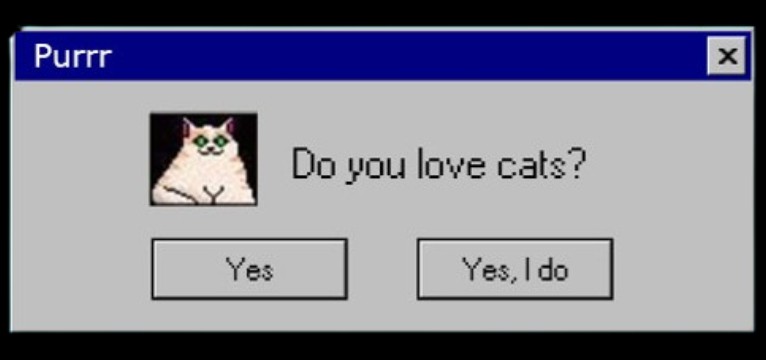 Do you like this cat 95