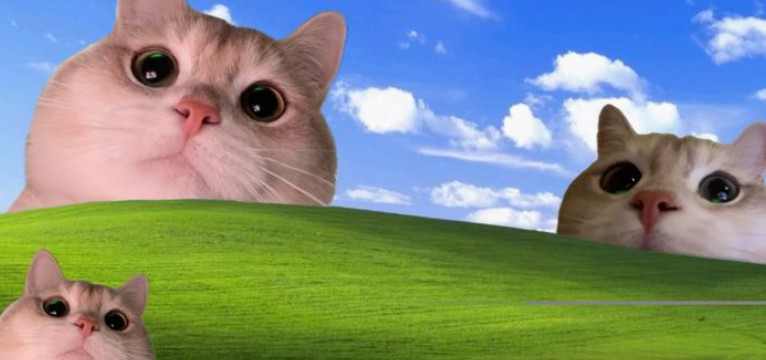 Windows
