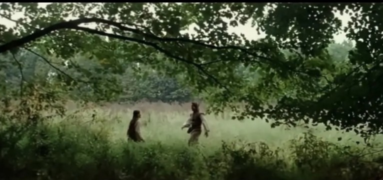 greenish playground nature