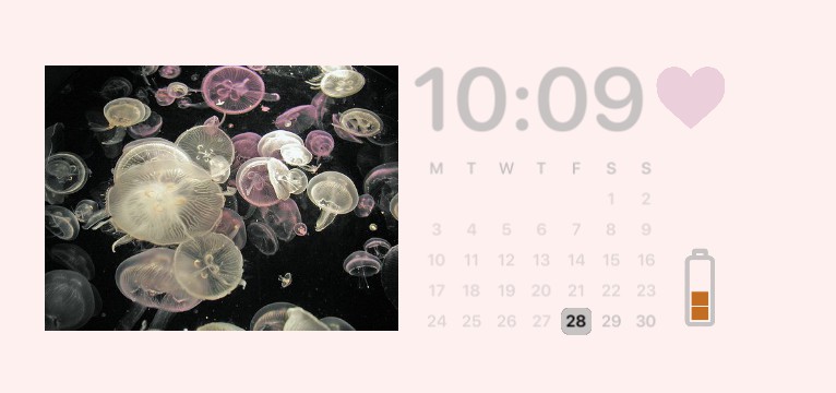 calendar w/ jellyfish pic
