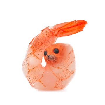 Sealshrimp