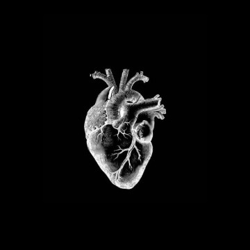 white human heart