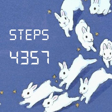 rabbit steps counter