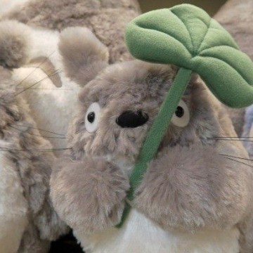 totoro