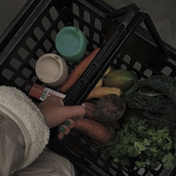 basket grocery 