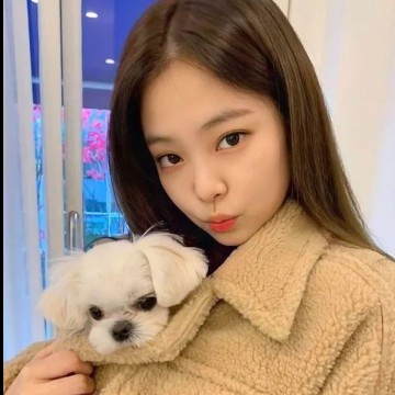 JENNIE WIDGET