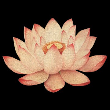 Lotus