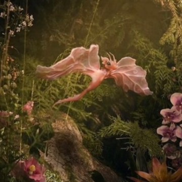 cute Melanie Martinez pet 