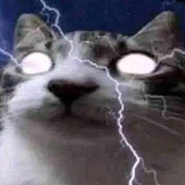 Electro cat