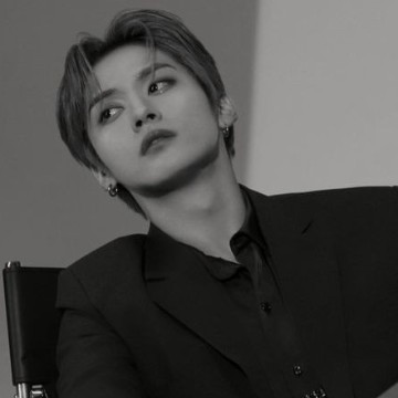 LEE KNOW  SKZ  MINHO  SMALL WIDGET