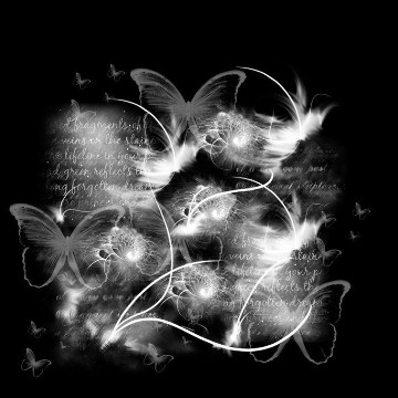 black aesthetic widget 