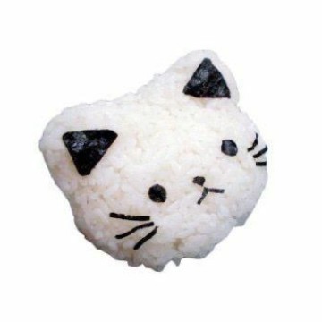 cute rice cat