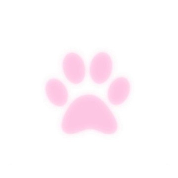 paw