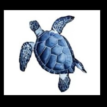 turtle cute small widget 