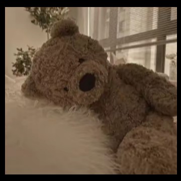 teddy bear widget