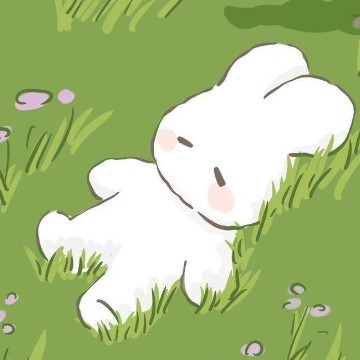 cute rabbit