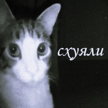 jflldddhdhdlystkzlhgz